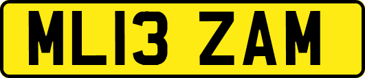 ML13ZAM