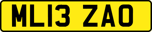 ML13ZAO