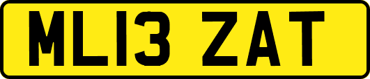 ML13ZAT