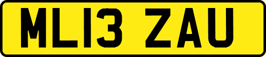 ML13ZAU