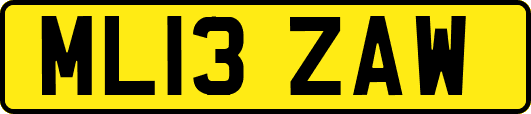 ML13ZAW
