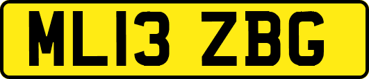 ML13ZBG