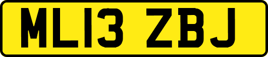 ML13ZBJ