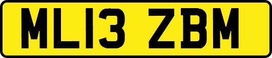 ML13ZBM