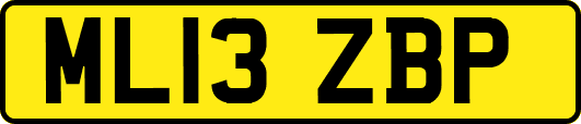 ML13ZBP