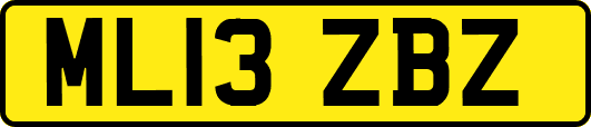 ML13ZBZ
