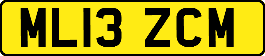 ML13ZCM