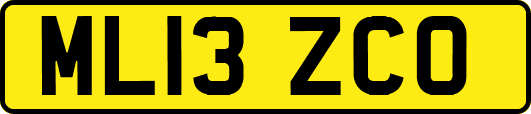 ML13ZCO