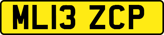 ML13ZCP