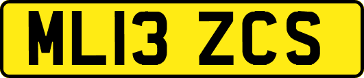 ML13ZCS