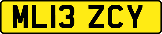 ML13ZCY