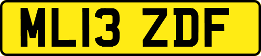 ML13ZDF