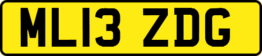 ML13ZDG