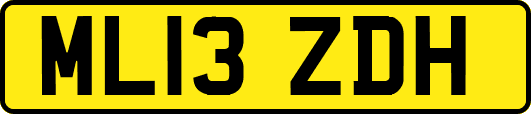 ML13ZDH