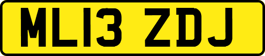 ML13ZDJ