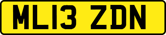 ML13ZDN