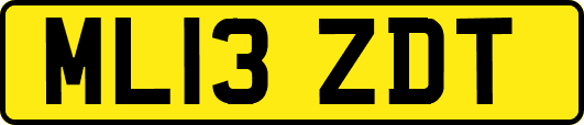 ML13ZDT