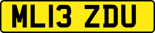 ML13ZDU