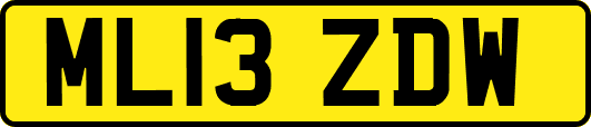 ML13ZDW