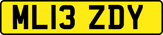 ML13ZDY