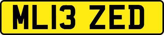 ML13ZED