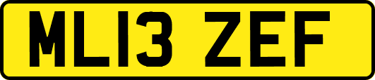 ML13ZEF