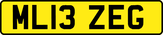 ML13ZEG
