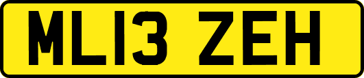 ML13ZEH