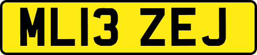 ML13ZEJ