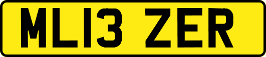ML13ZER