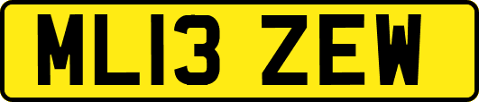 ML13ZEW