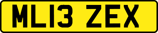 ML13ZEX