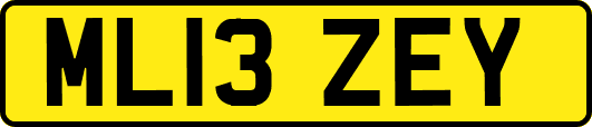 ML13ZEY