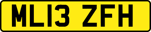 ML13ZFH