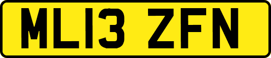 ML13ZFN
