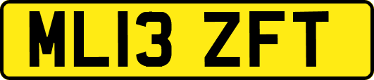ML13ZFT