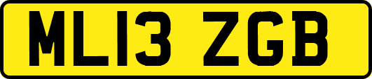 ML13ZGB