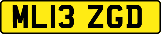 ML13ZGD