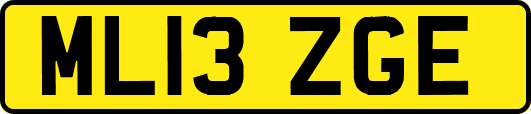 ML13ZGE