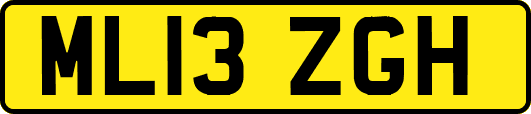 ML13ZGH