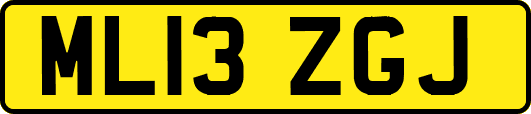 ML13ZGJ