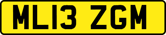 ML13ZGM
