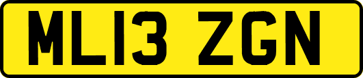 ML13ZGN
