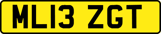 ML13ZGT