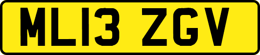 ML13ZGV