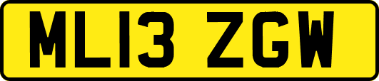 ML13ZGW
