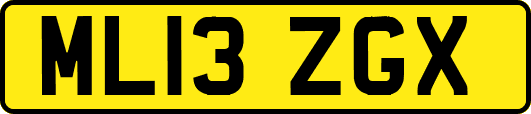 ML13ZGX