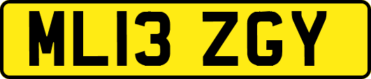 ML13ZGY