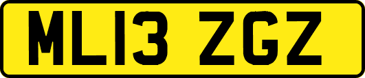 ML13ZGZ