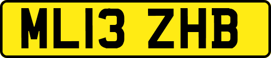ML13ZHB